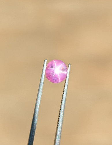 Zaffiro stella rosa - stella,
