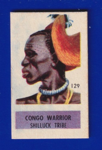 Congo warrior 1949 - congo,