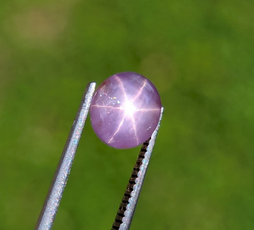 Zaffiro stella viola chiaro - zaffiro,