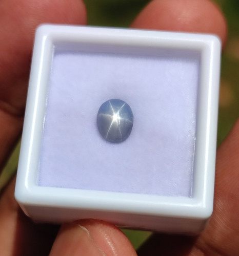 Zaffiro stella grigio naturale - grigio,
